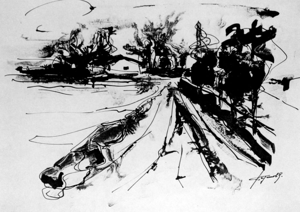 Pino spagnuolo 1965-70_04