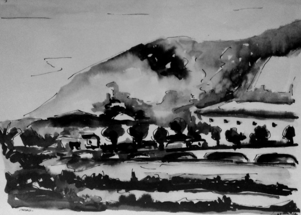 Pino spagnuolo 1965-70_06