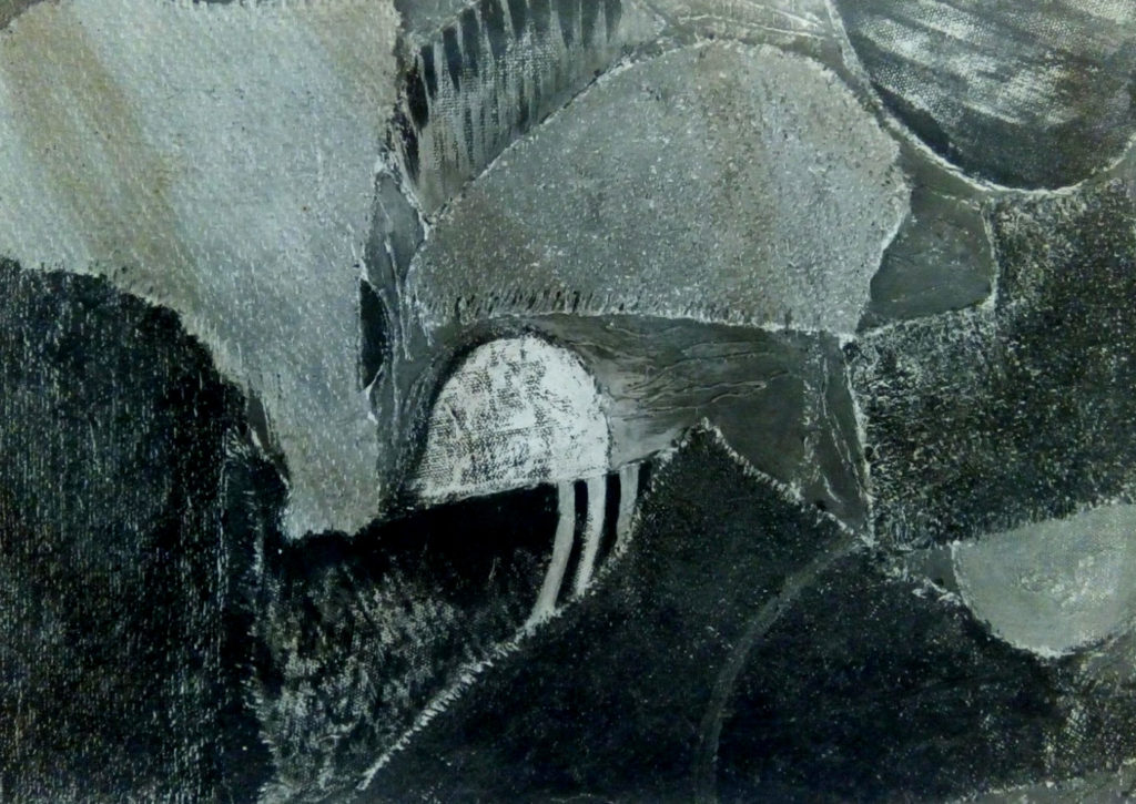 Pino spagnuolo 1975-80_3