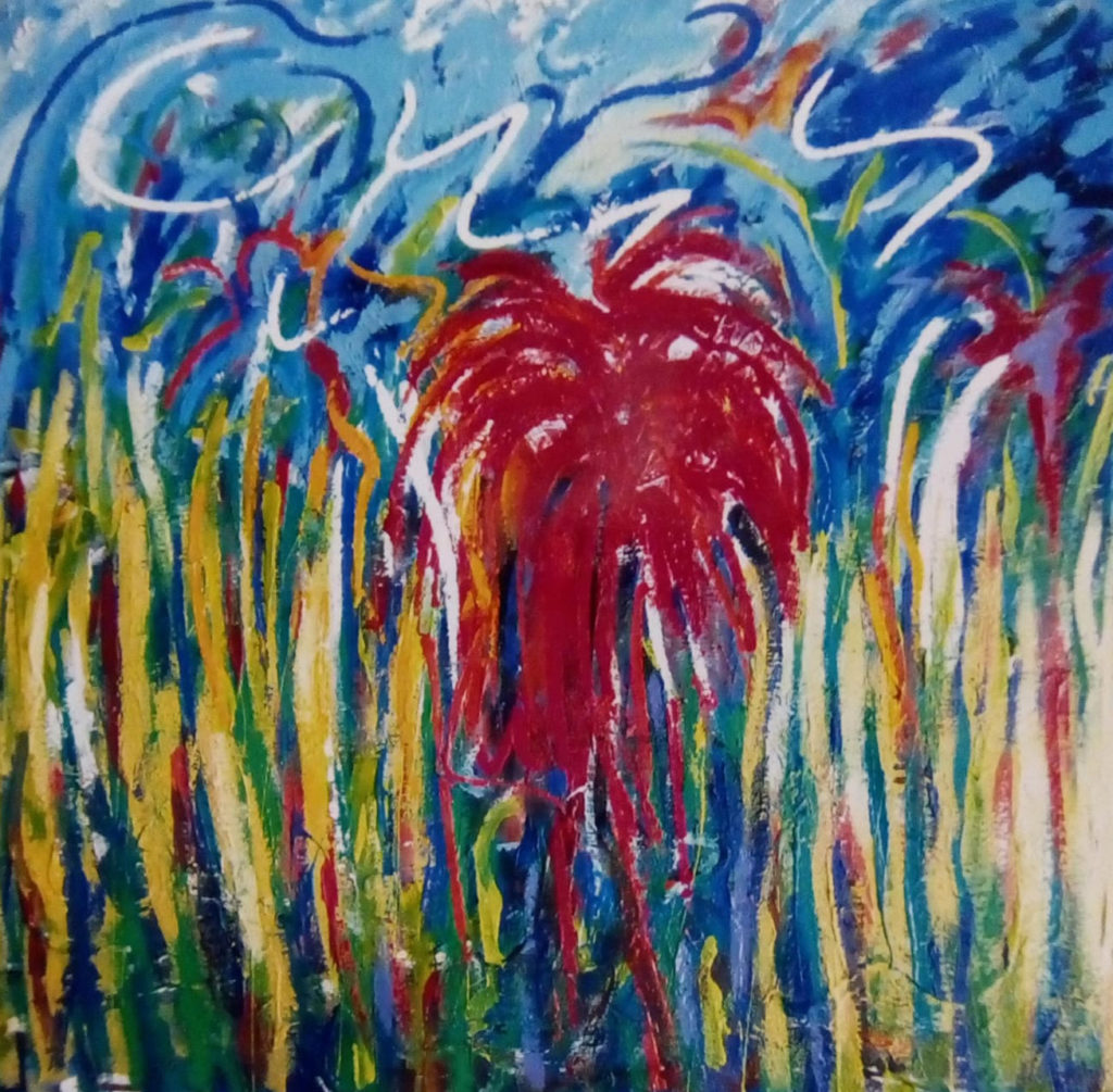 Pino spagnuolo 2000-2005_3
