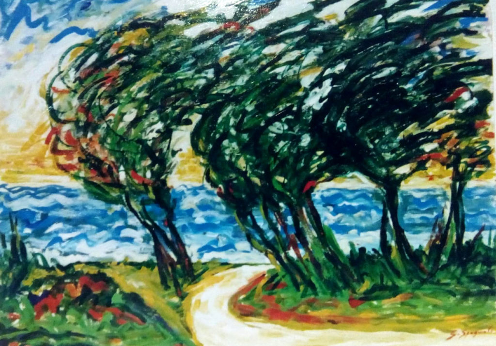 Pino spagnuolo 2000-2005_6